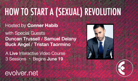 Evolver Slide 3